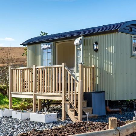 Scalderskew Shepherds Hut Gosforth  المظهر الخارجي الصورة